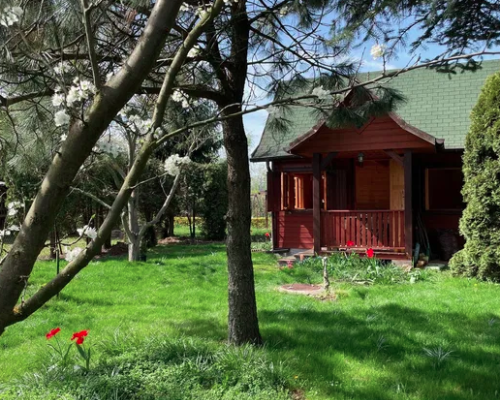 Działka ROD w Milanówku