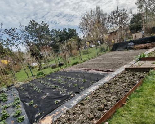 Wrocław ROD Tarnogaj