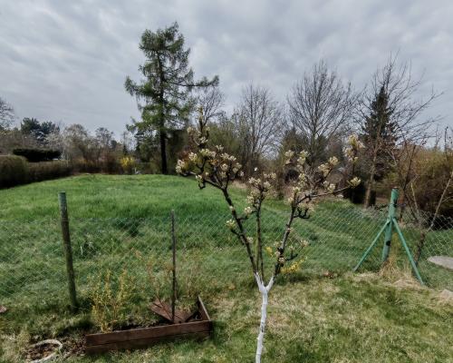 Wrocław ROD Tarnogaj